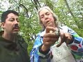 Bird Watching - Bird Banding Bird Watching - Bird Banding