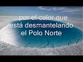 Osos polares y el deshielo