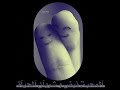 المحبه للشاعر بدر بن عبد المحسن.wmv