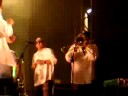 festival de pamiers 2008
elito reve y s charangon en concert
sinsonte 