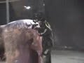 HSP 11/24/06
