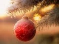 Blanca Navidad - Daniela Romo