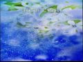 KAVI_2.mpg