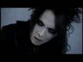Sugar - Blossom PV