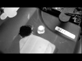 Schnell's SC 002.AVI