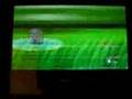 Shiny Jigglypuff (1 of 5) pokeradar chain 42 pokemon diamond