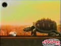 lustige schildkröte