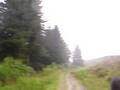 llyn brianne big fire