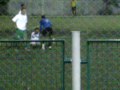 qualix vs gravia 1