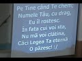 Corul-Zorilor-Intele