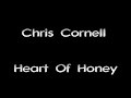 Chris Cornell - Heart Of Honey