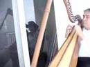 Harpist Jesus Zamara plays for Niny and Gary
