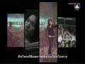 Sweet Mullet-เพลงของคนโง่.wmv