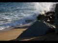 McGinty - Sonny's Dream.wmv