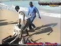 Las Qoray  - Gobolka Sanaag (Qaybta 6aad)