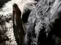 Cold Case Stand My Ground Music Video
