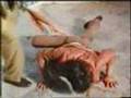 Hebetudinous Indian James Bond Film With Indian Jaws