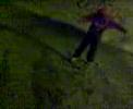 videos-estupidos-3-stupid-videos.html