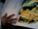 Fairy's Cake Photography is published!
