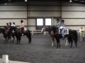 videos de MOV00496