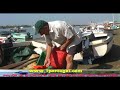 Polvo em risco de desaparecer - Santa Luzia