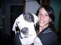 dogo argetino   guapa