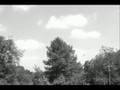 Ghost Video - cursed?