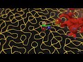 [RS] Kicking TzTok-Jad-6th cape- 1st vid