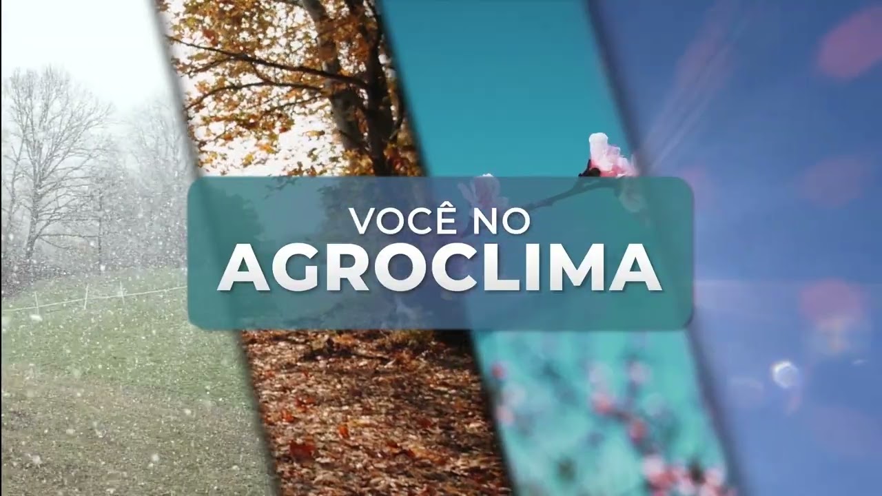 Semana começa com retorno das pancadas de chuva na região Sul | 25/05/26