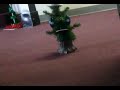 The Christmas Tree From Hell
