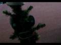 videos de The Christmas Tree From Hell