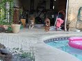 The new fountain