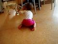 videos de Cliona takes Penny for a walk