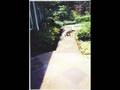 Mazzola Masonry Stonework Patios and Pavers