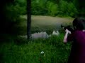 hi point 9mm carbine