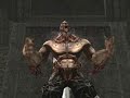 Lineage II Vnzla-Pro