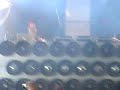 DEFQON 1 2008 Silver N-VITRAL live