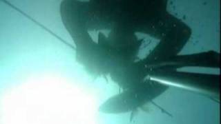 Pesca submarina en Ferrol