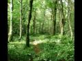 Song of wandering Aengus
