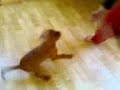 Video from My Phone (20070710083.3gp)
