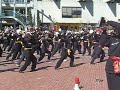 yang taijiquan