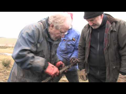 Dating methods used on otzi