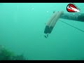Karag�z zipkin