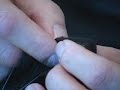 How To Test Your Diabetic Cat\