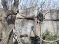 Zoo Barcelona - Demos Casio FH20