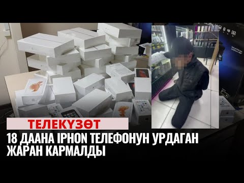 18 даана iPhon телефонун урдаган жаран кармалды