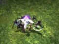 Orum Guild Playing Rappelz