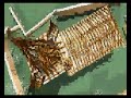 evangelische-kirche-in-grifteanimation.html