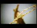 Assistir ao v�deo