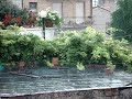 Oggi Piove Oggi Piove